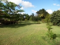 Real Estate -  00 Buckeley Meadows, Saint George, Barbados - 