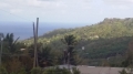Real Estate -  00 Chimborazo, Saint Joseph, Barbados - 