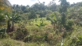 Real Estate -  00 Chimborazo, Saint Joseph, Barbados - 