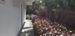 Real Estate - Unit 4 No.22 Blue Waters, Rockley, Christ Church, Barbados - Walk path