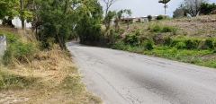 Real Estate -  Lot A & B Locust Hall, Saint George, Barbados - 