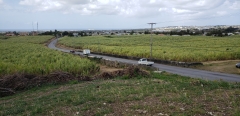 Real Estate -  Lot A & B Locust Hall, Saint George, Barbados - 